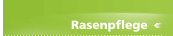 Rasenpflege