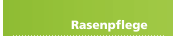 Rasenpflege